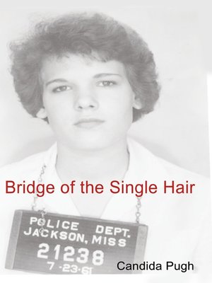 cover image of Bridge of the Single Hair